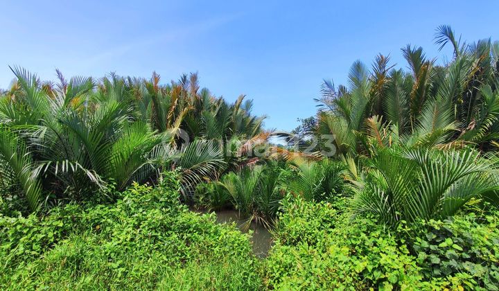 Land in Cijulang Batukaras Suitable for Resort Villa.