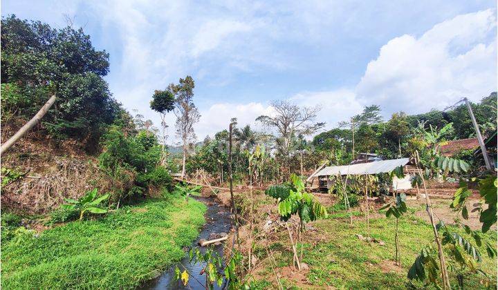 Tanah Dan Sungai Cocok Untuk Villa Bangunan Komersil Ciwidey 1