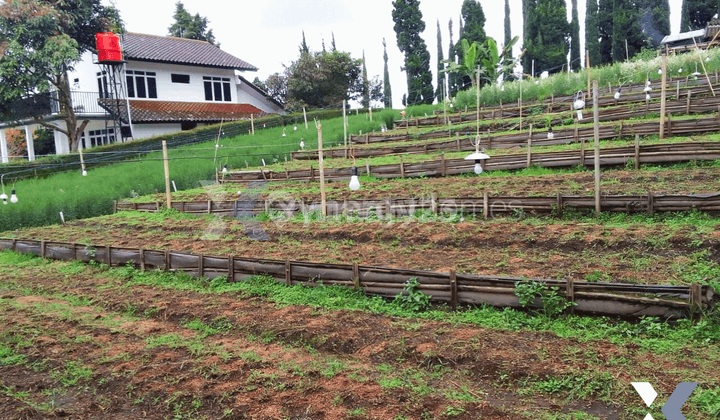 Tanah Strategis Cocok Untuk Villa di Lembang Bandung 2