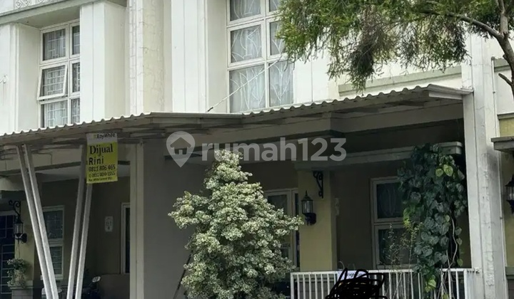 Butuh Uang Nego Sampai Deal