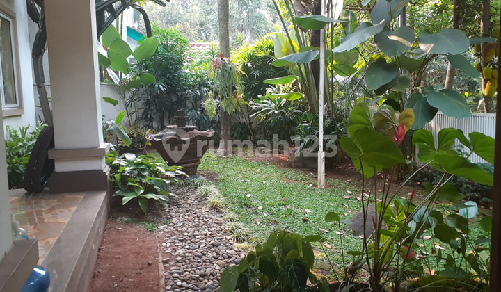 Rumah Lingkungan Nyaman Aman Dekat Taman Kota Bsd Rumah Lingkungan Nyaman Aman Dekat Taman Kota Bsd