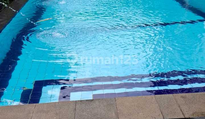 The Green, Rumah Besar Ada Kolam Renang Pribadi.  2