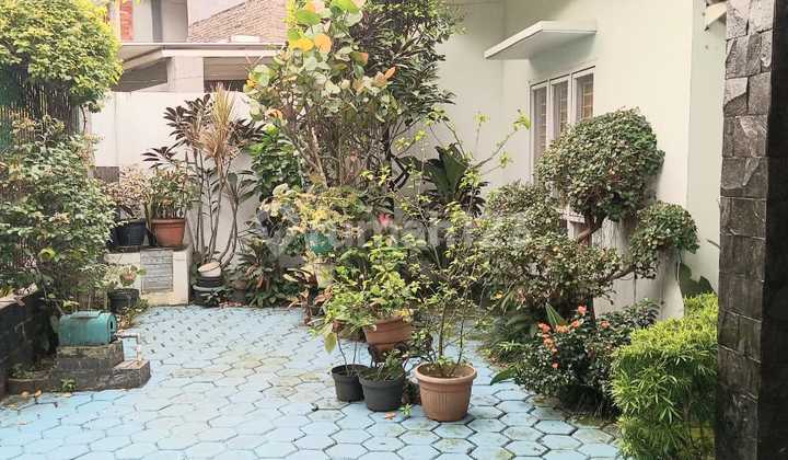 COCOK BUAT ORANG TUA DAN YANG HOBBI TANAMAN, RUMAH SATU LANTAI BSD TANGERANG SELATAN - lsa