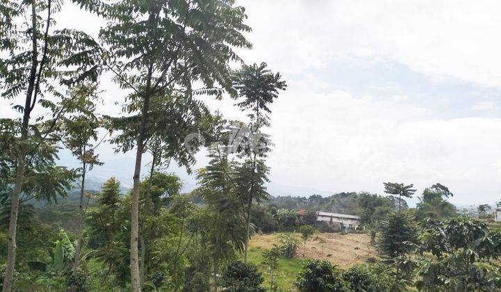 Tanah Sangat Cocok Untuk Villa View Keren Ciwidey Bandung  3