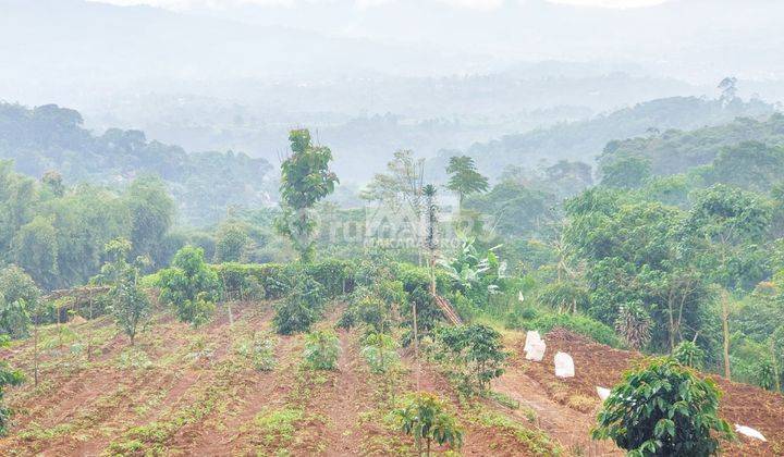 Tanah Sangat Cocok Untuk Villa View Keren Ciwidey Bandung  5
