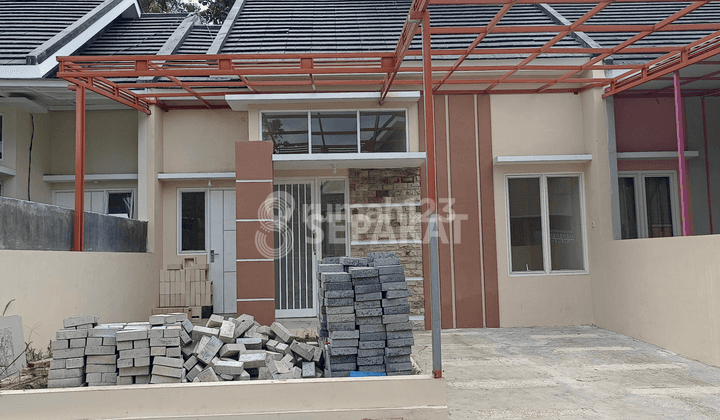  Rumah Dengan Suasana Asri di Tengah Kota Jember 2
