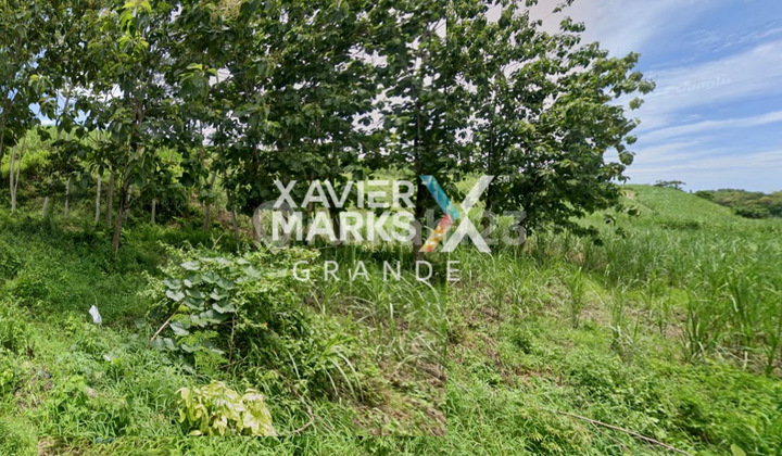 For Sale Super Large Land In Srigonco. Bantur - Malang