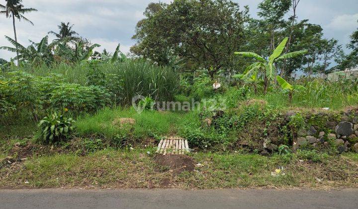 Tanah Luas Dekat Perumahan Elit Austinville Tidar Malang 1