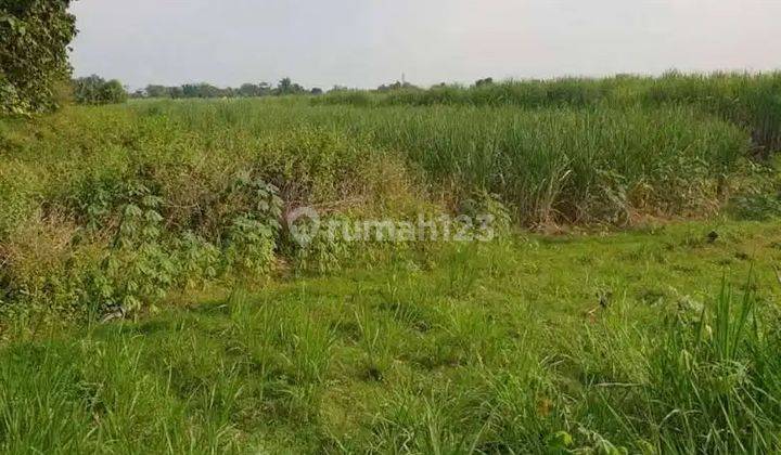 Jual Tanah Industri Luas di Mojokerto Jatim 1