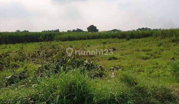 Jual Tanah Industri Luas di Mojokerto Jatim 3