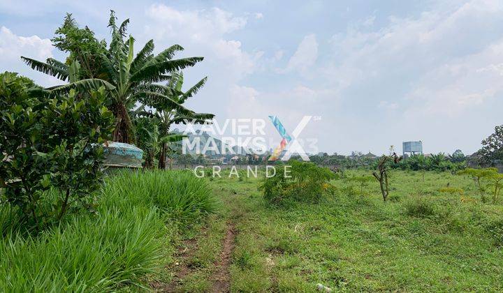 DiSewakan Tanah Luas di Bedali Lawang, Malang 2