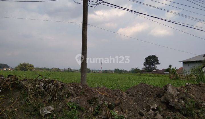 TURUN HARGA! MURAH BANGET…DiJual TANAH Luas Di Nol Jalan Singosari Malang 1