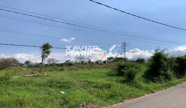 Dijual Tanah Luas di Daerah Beji, Junrejo Dekat Jatim Park 3 Batu Malang 2