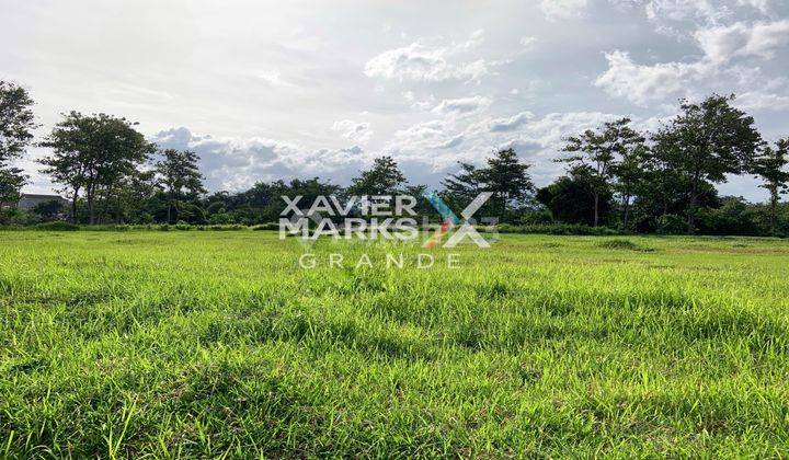 Dijual Kavling Tanah Luas Murah di Telaga Golf Araya Malang 2