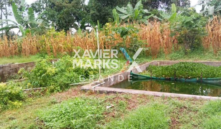 Dijual Tanah Luas Di Pandansari Poncokusumo Malang 2