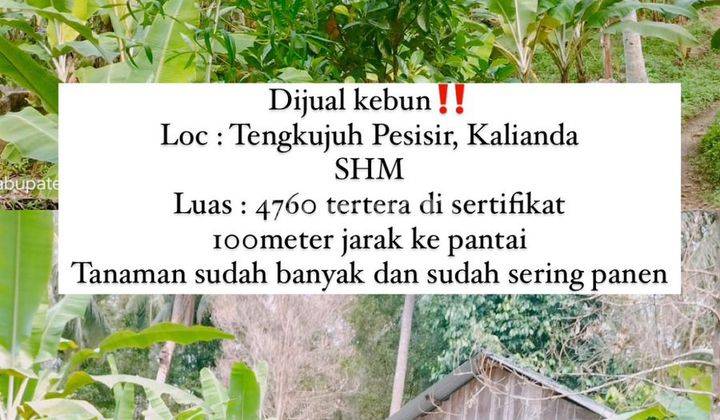 Tanah di Tengkujuh Pesisir, Kalianda , Lampung SHM 4.760 m² 2