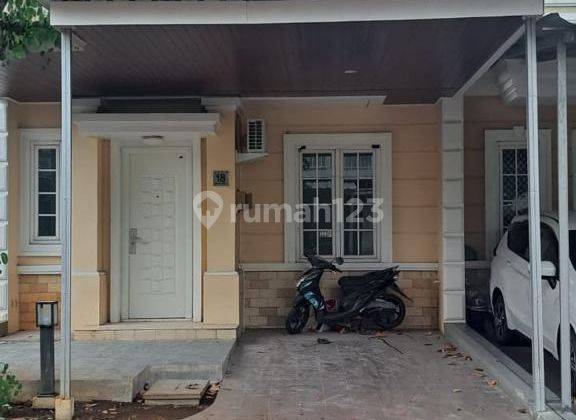 Rumah Sewa di Paramount Baru Renov Full Ac  1