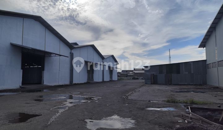 Good Warehouse in Genuk, Semarang 1