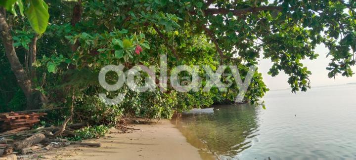 Dijual Tanah di Batulawang, Karimun Jawa Dijual Tanah di Batulawang, Karimun Jawa