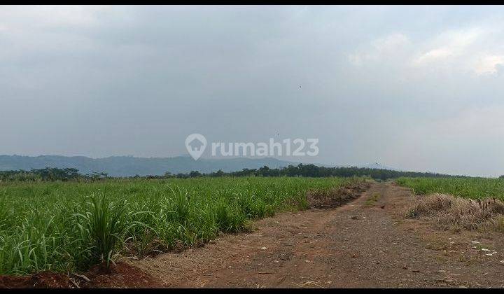 Dijual Cepat Tanah Pinggir Jalan Raya Daerah Batang 2