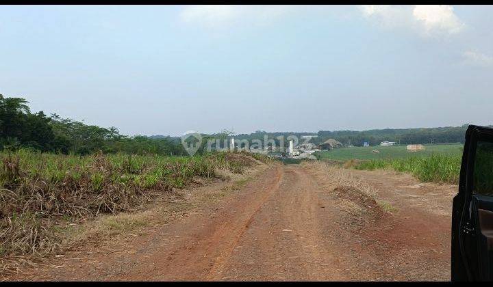 Dijual Cepat Tanah Pinggir Jalan Raya Daerah Batang 1