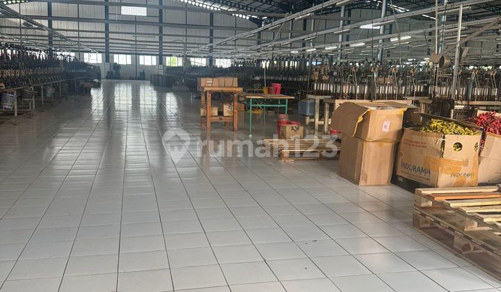 Large and Ready-to-Use Warehouse in Semarang 2
