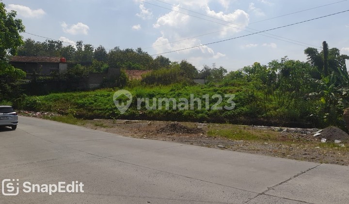Quick Sale of Land on Tembalang Main Road 1