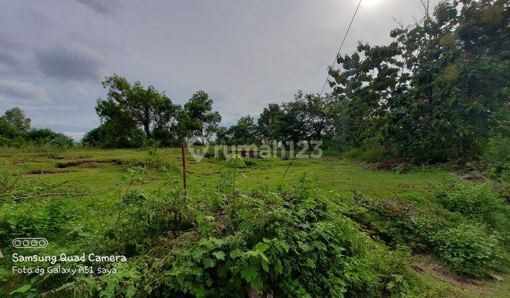 Tanah di Jalan Besar Solo Sragen