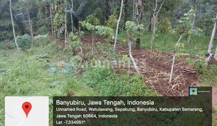 Tanah SHM di Banyubiru Kab Semarang 5