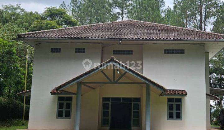 Villa Asri Dan Luas di Puncak Pesona Alam Sewa Harian Murah 1