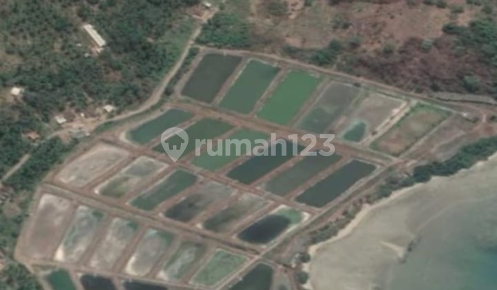 Dijual tanah SHM luas 46 hektar dekat dengan hotel Marriott Lampung 