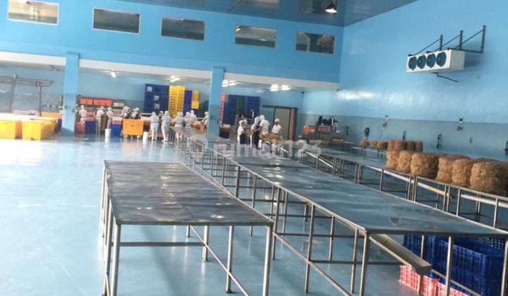 Disewakan Pabrik Processing Cold Storage di Sentul Bogor  2