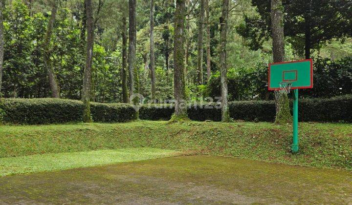 Disewakan Villa Asri Luas Tanah 3500m2 di Puncak Pesona Alam 2