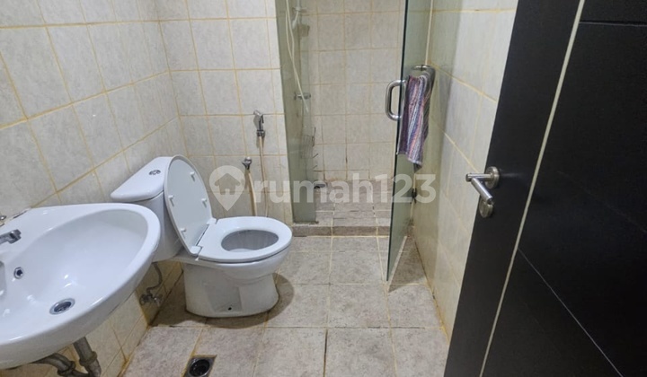 Disewa Apartemen Cbd Pluit Emporium Tower Padma 3 Kamar View Pool 2