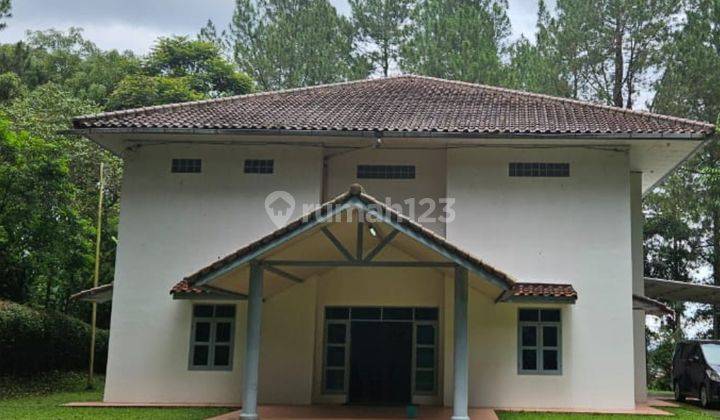 Disewakan Villa Asri Luas Tanah 3500m2 di Puncak Pesona Alam 1