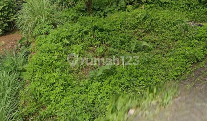 Dijual Tanah @ Dusun Sumber Wekas, Trawas, Jawa Timur Dekat Soto Gondrong (rs)