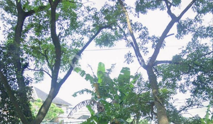 Dijual / For Sale Lahan @ Jln Mayjen Sungkono, Malang Dekat Pakis Aji (rs)