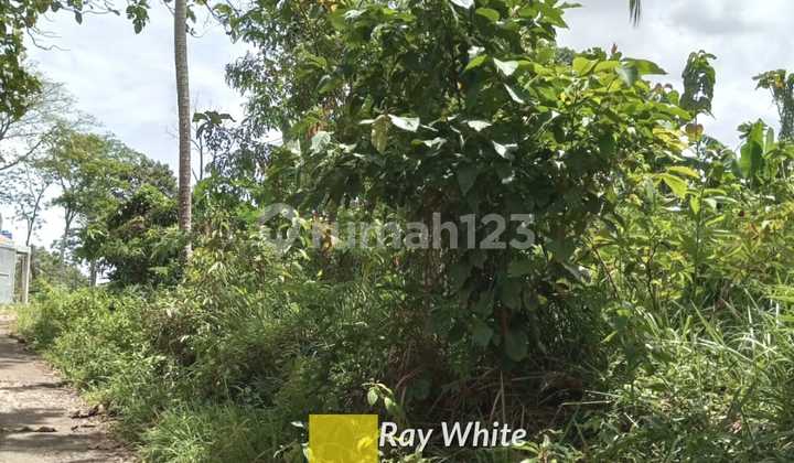 Di Jual cepat rumah di Taman Modern Cakung Jakarta Timur ( hitung tanah saja ) harga dibawah NJOP PBB