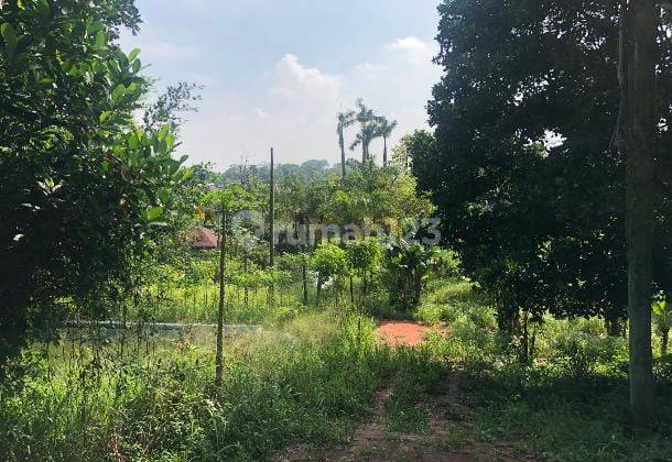 Dijual Cepat Tanah Komersial Strategis Bintaro 1