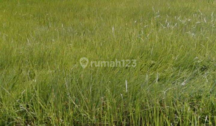 Dijual Cepat Tanah Komersial di Gunung Putri 3