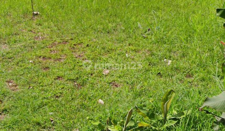 Disewakan Cepat Tanah Strategis area Ampera 1