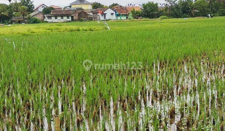 Dijual BU Tanah Bagus Strategis Tigaraksa 2