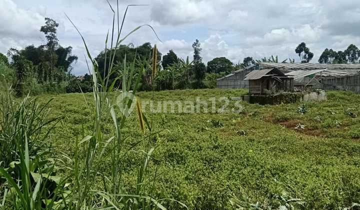 Dijual Cepat! Tanah lokasi strategis di Cisarua, Lembang 1