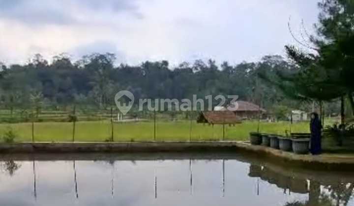 DIJUAL RUMAH VILLA DAN KOLAM IKAN SUBANG 1