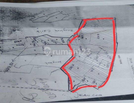 Tanah Peruntukan Industri Desa Wringgintung Kec Tulis Kab Batang 1
