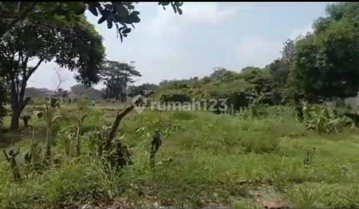Dijual Tanah Luas Cocok Untuk Bangun Kontrakan, Tempat Usaha, Bangun Rumah di Desa Aren Jaya Bekasi Dijual Tanah Luas Cocok Untuk Bangun Kontrakan, Tempat Usaha, Bangun Rumah di Desa Aren Jaya Bekasi