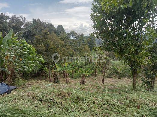 Tanah Bagus Dan Murah Dekat Pemukiman Jonggol Bogor 2