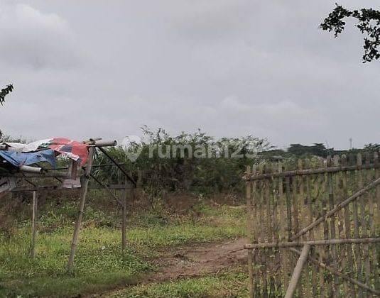 Tanah Strategis di Pinggir Jalan Raya Babelan Dijual Cepat 2