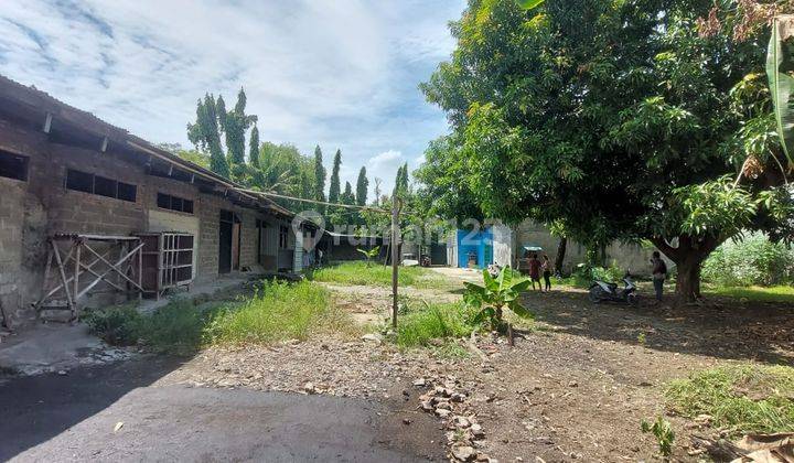 Dijual Cepat Rumah Walet Plus Tanah Luas di Pinggir Jalan Raya Babelan Bekasi 1