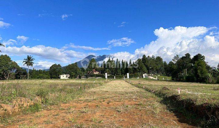 Promo Akhir Tahun Jual Tanah Di Kawasan Megamendung Puncak Bogor  2